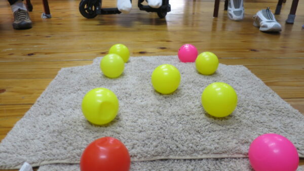 １週間の始まり(‘ω’)ノ