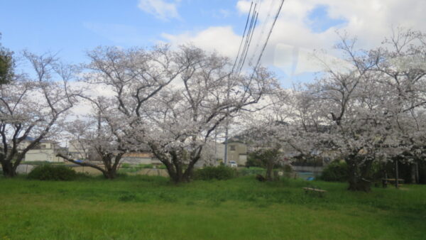 ４月の思い出
