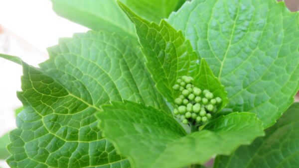 季節の変わり目🍀