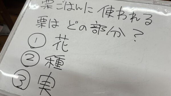 秋の豆知識クイズ🌰