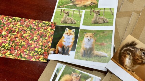 段ボールとお好み焼きと