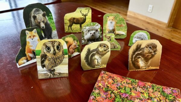 ようこそ段ボールの森へ