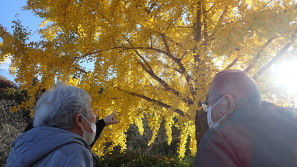 秋の行楽　～第二弾～