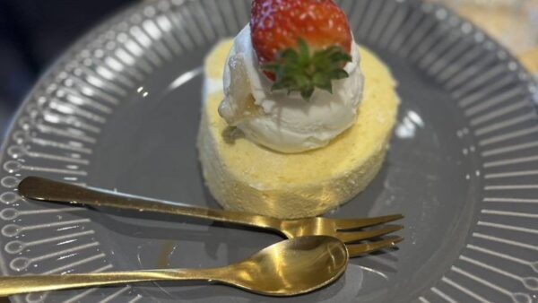 🌸雨のち曇りでも楽しい♪お花見ドライブ2日目🌸