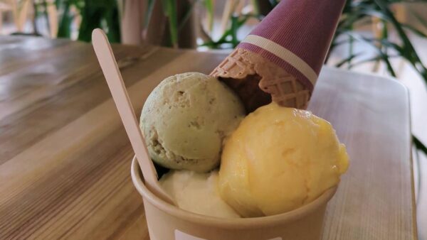 外出レクリエーション最終日 ～感謝を込めて～