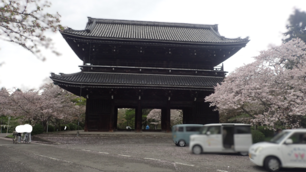 お花見～最終日？～