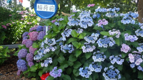 6月外出レク♪　～第一弾～